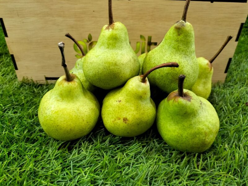 Packham Pear, 5 – GoFruits Malaysia