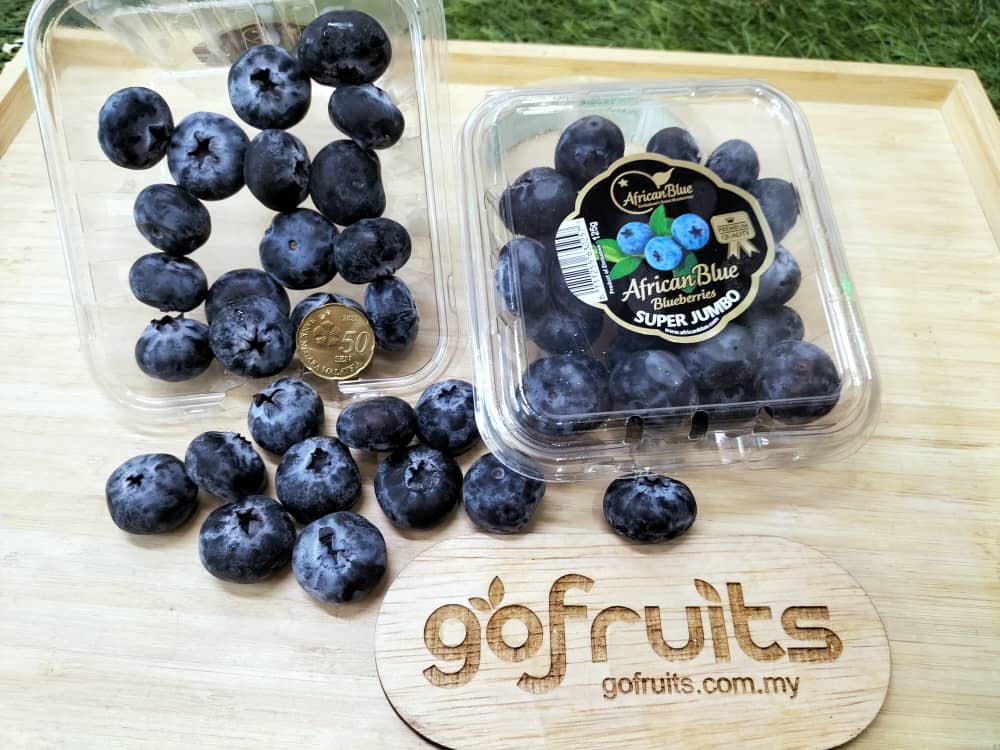 WhatsApp-Image-2023-08-03-at-10.28.56