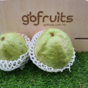 lohan guava
