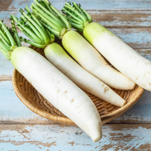 White Radish