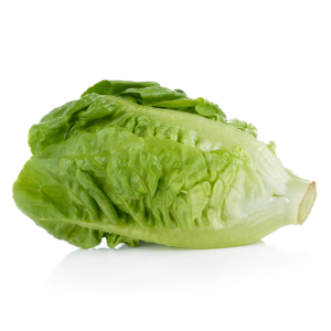 Lettuce