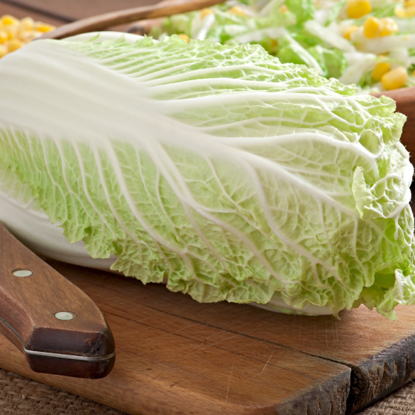 chinese cabbage