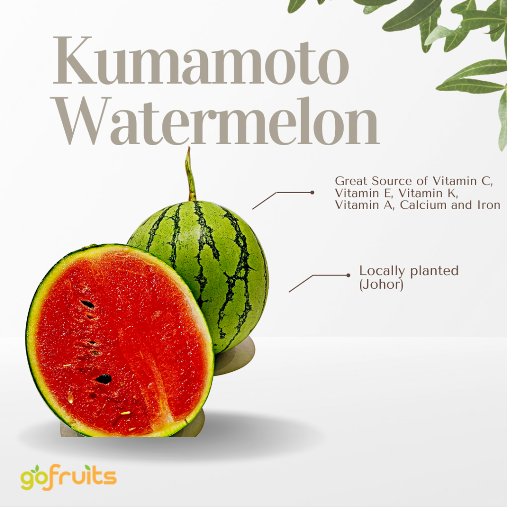 Japanese Kumamoto Watermelon, 800g+,1pc GoFruits Online Premium