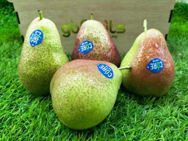 Forelle Pear 5pcs Gofruits Online Premium Fruit Malaysia 