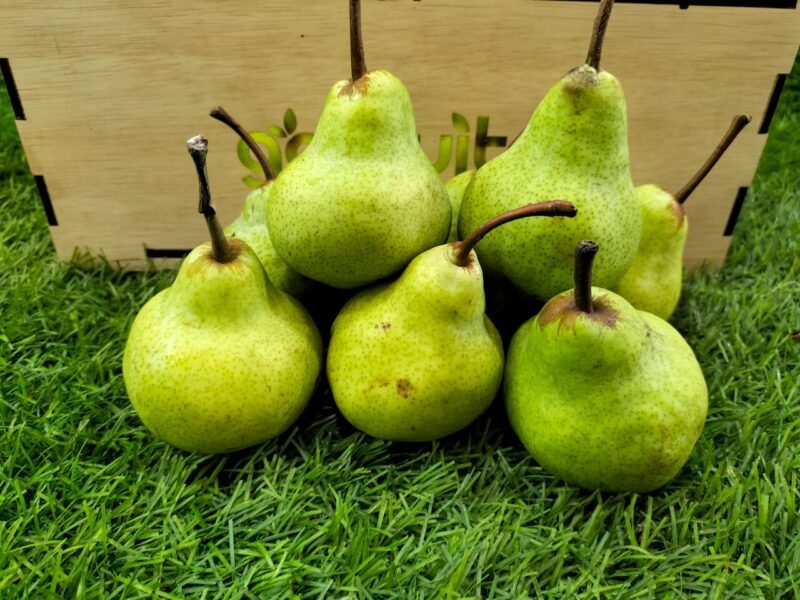 South Africa Packham Pear Free Delivery Available Gofruits 