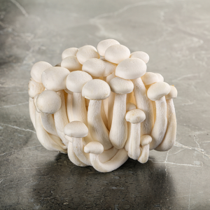 white shimeji mushroom