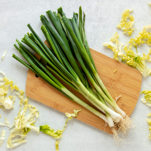 Cameron highlands Leek