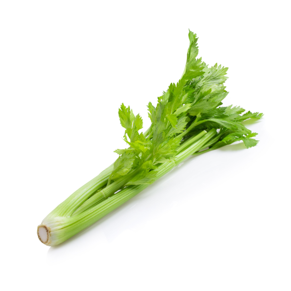 Australia Celery