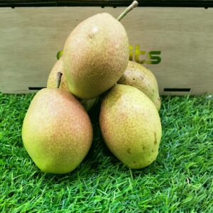 fragrant pear