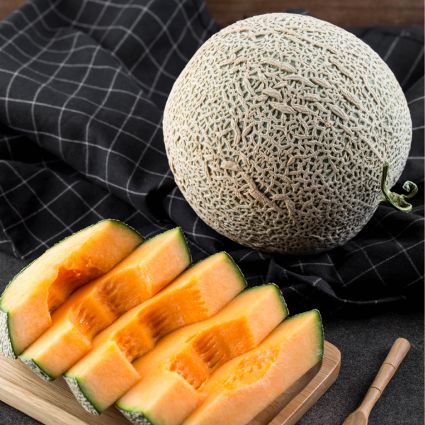 Japanese King Crown Melon