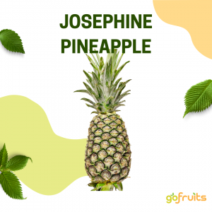 josephine pineapple