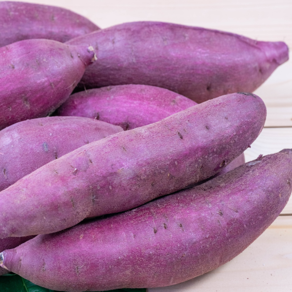 Purple Sweet Potato