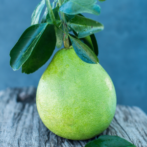 Sweet Pomelo